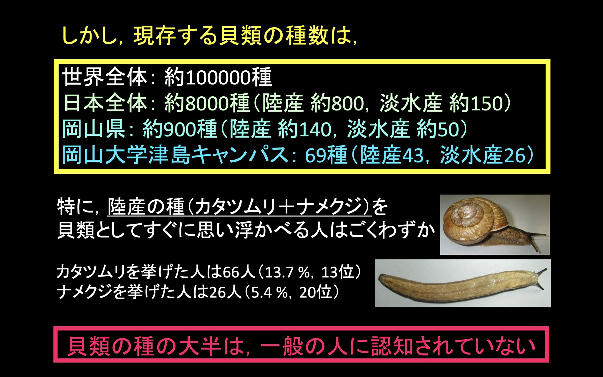 軟体動物多様性学会 公式 これは貝類分類学者の立場としてはとても残念な結果です 現存する貝類は途轍もない種数に上り 岡山大学構内だけでも69種いるというのに その大半は誰も見向きもせず 多様性の全貌など知る由もないことになるからです