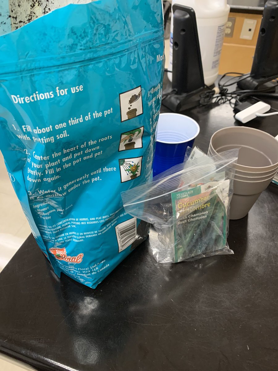 Botany plants lately? We’re bloomin’ in SVN 3E🥬🥕🥒 Growing veggies from scraps and seeds to see the impact of soil quality