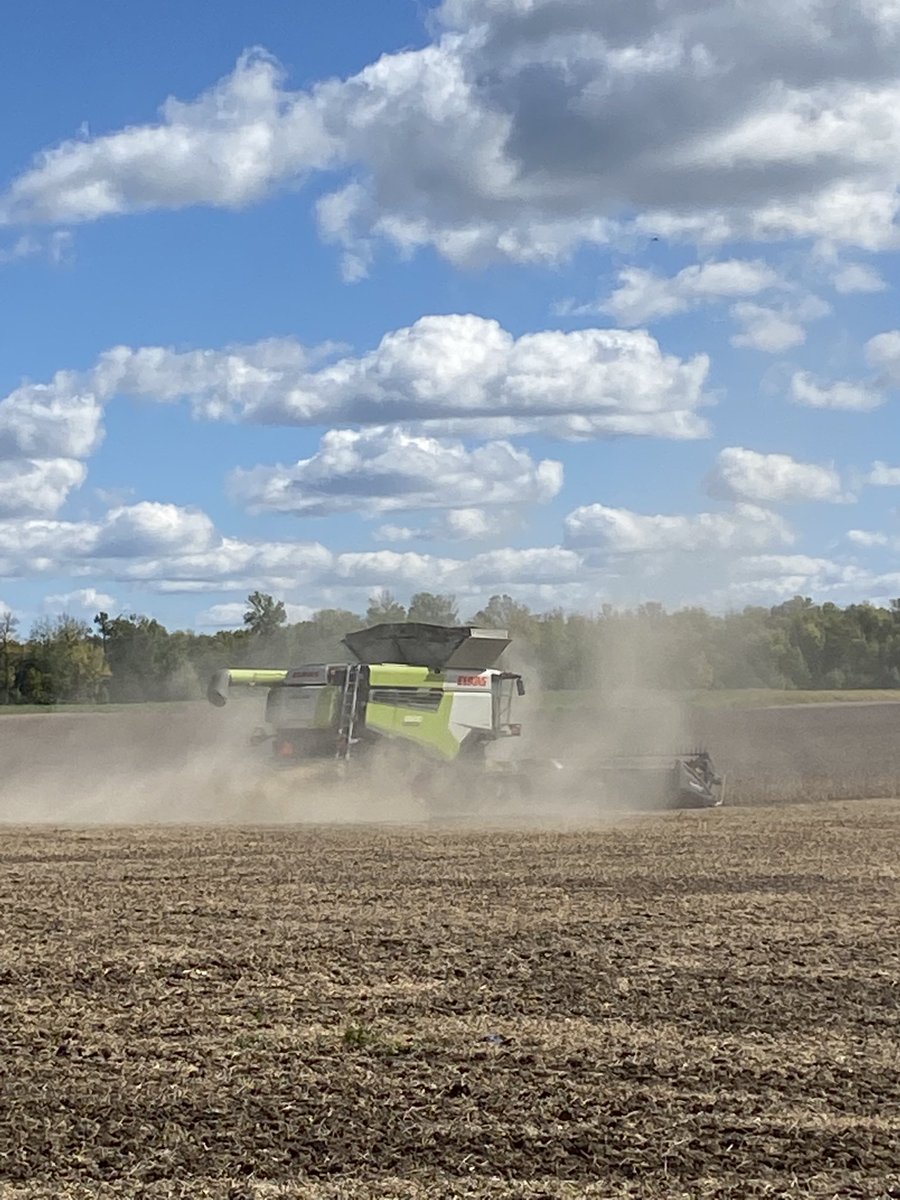 Vanessa Horton tweet media