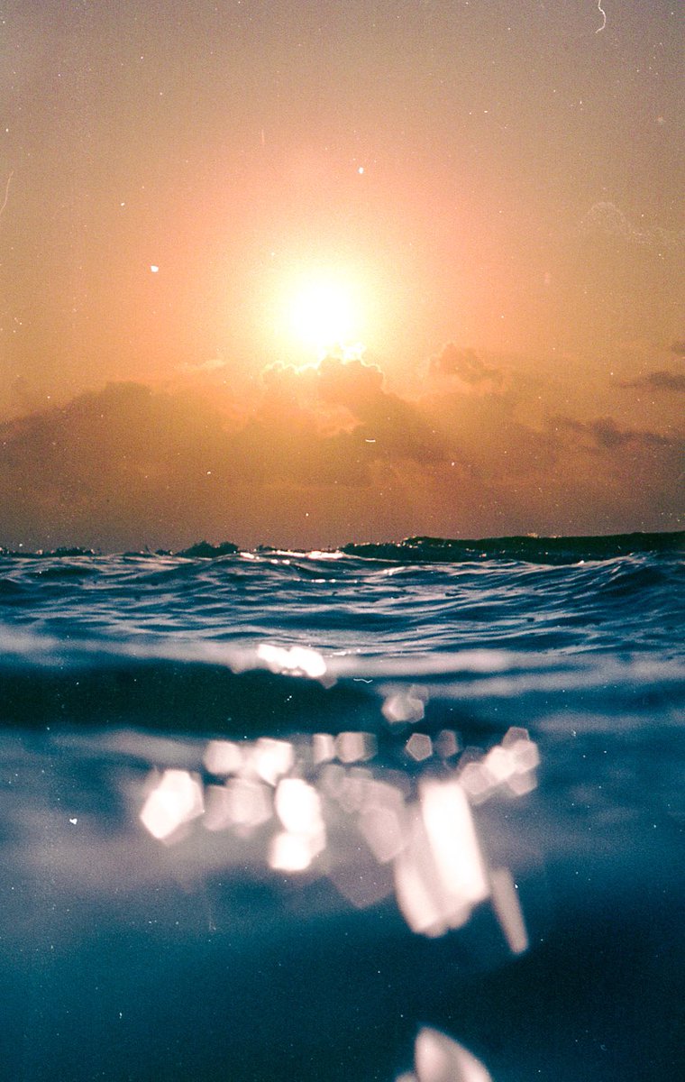 Ang_Ramm's tweet photo. Golden mornings https://t.co/HPcuH2oROS