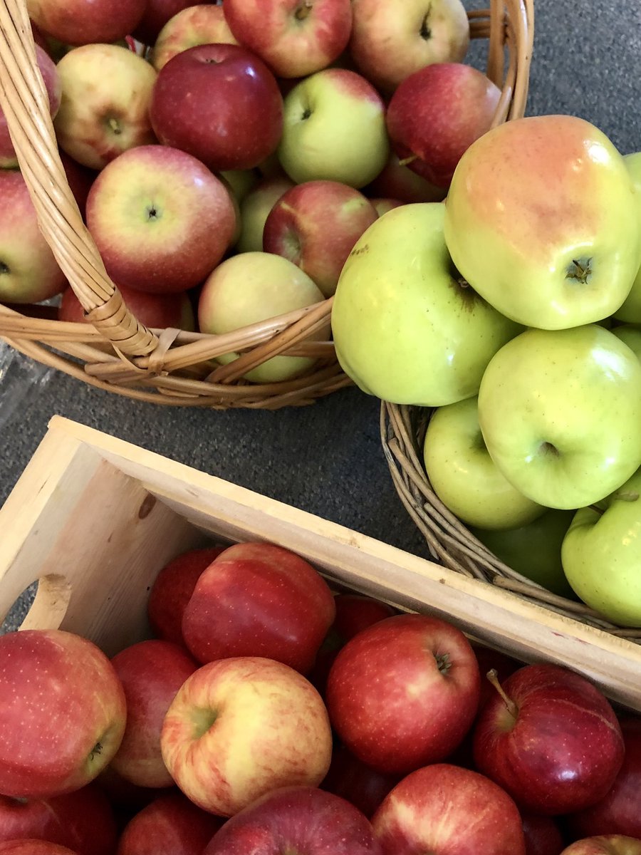 So many #Ontario apples at today’s #GoodFoodMarket <a href="/FoodShareTO/">FoodShare</a> at <a href="/SPLConline/">St Philip's Toronto</a>. Come get yours from 4-7pm!
