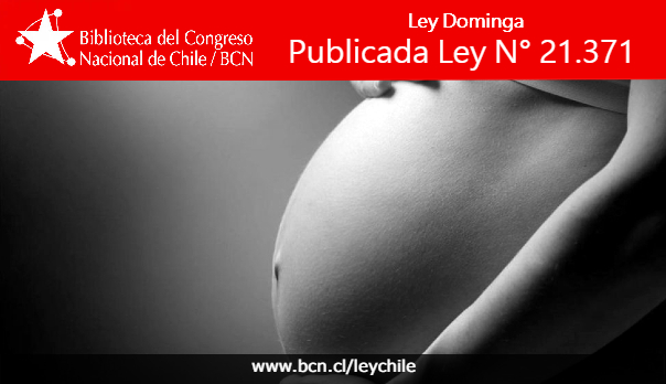 Publicada Ley N° 21.371. Establece medidas especiales en caso de muerte gestacional o perinatal #LeyDominga
Disponible en bcn.cl/2rr28
Historia de la Ley s.bcn.cl/2rr1h