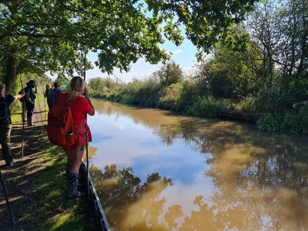 BorealTrees tweet media