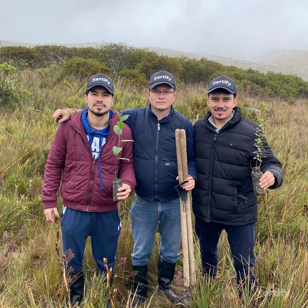 xertifyco's tweet photo. En Xertify hemos sembrado 100 arboles de la mano de Ximpte, festejando la emisión de más de 100 mil documentos.
#Xertify #Xertify100K #100k #Xertifyco #Paramodelasalfombras #EdTech #Blockchain #BlacokchainTechnology #Boyaca #Tota #certificado #digital #Educacion #certificados https://t.co/LK2zHzeRuw