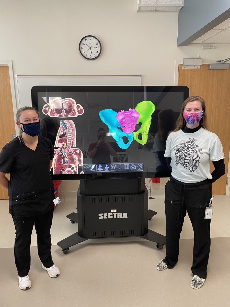 UMMC Clinical Anatomy tweet media