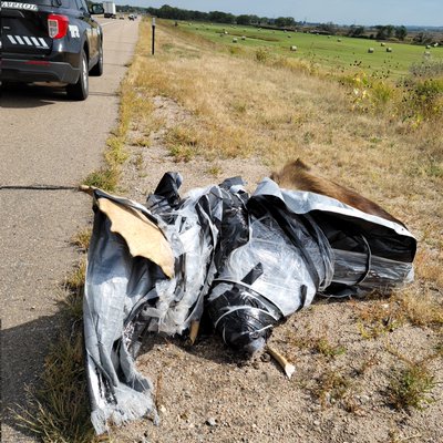 NSP Troop D's Photo