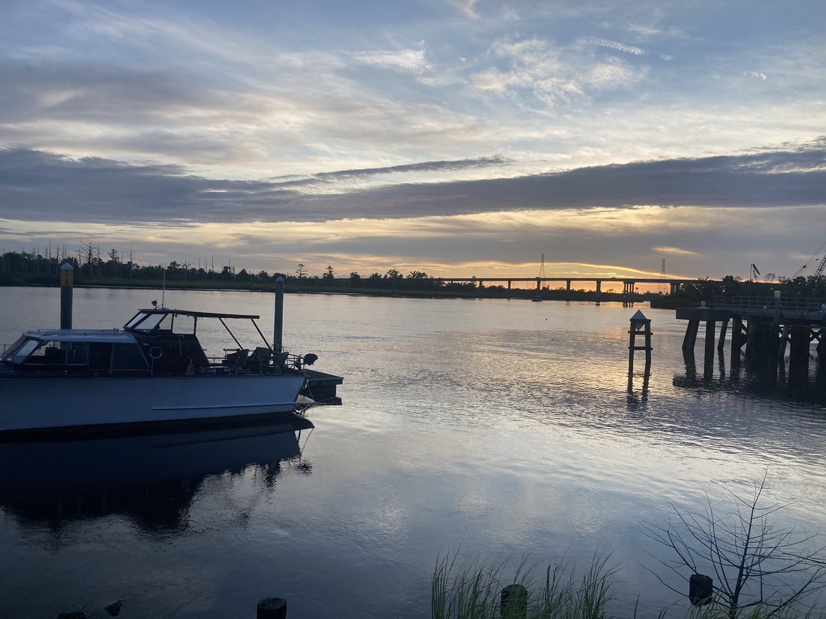 Tolarchaeota's tweet photo. I can finally say with certainty: “I am going to be a professor” 😁

Thrilled to share that I’m starting as an Assistant Professor in the Department of Biology and Marine Biology at UNC Wilmington in January 2022! 

Keep an eye out for collaborations and good students to join me! https://t.co/W1ZsLKZGvK