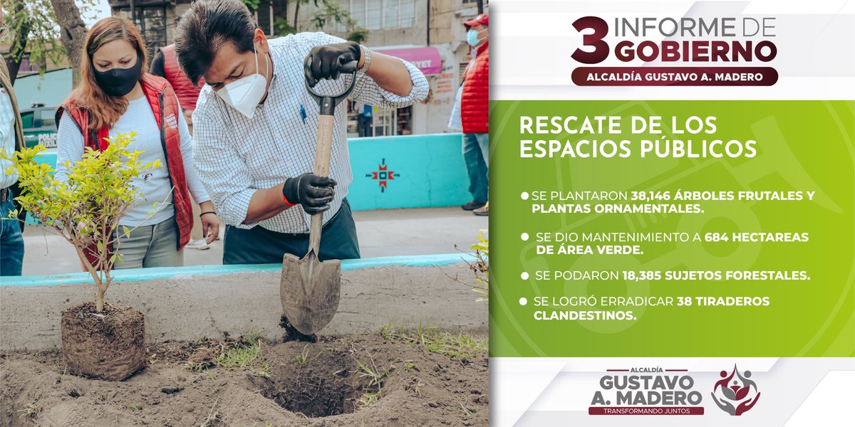 TuAlcaldiaGAM's tweet photo. Como parte del rescate de nuestros espacios públicos se plantaron 38, 146 mil árboles frutales y plantas ornamentales. 

#3InformeFChíguil https://t.co/bGR17kRC7X