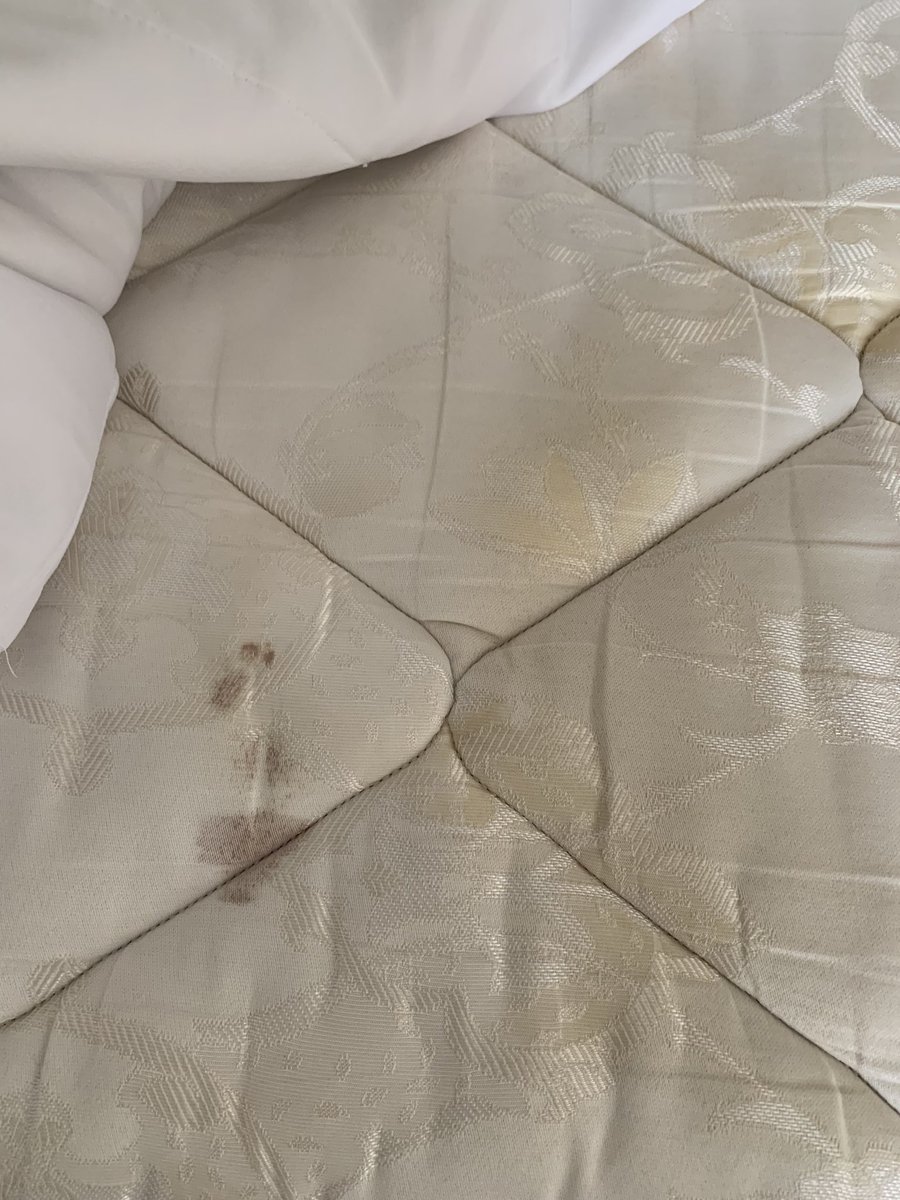 TheRealTrulyKim's tweet photo. Family !!I just touched down in LA and I thought I was gonna show off for y’all but let me tell you I can cry because this hotel is so disgusting it’s the #ramadahotel #BlackTwitter 

As soon as you walk through the doors the most Treacherous smell hits your nose, @WyndhamHotels https://t.co/BzVvooXI62
