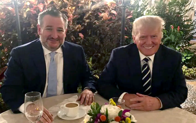 <a href="/tedcruz/">Ted Cruz</a> Green Eggs &amp; Spam
Dr Seuss

I don't like green eggs &amp; spam
I don't like Cruz or where he stands
He left his dog, that evil man
&amp; hates clean water, that's his plan

He stands with Trump, the magaman
The madman with tiny hands
Who hails from Putinistan
He's #CancunCruz, understand