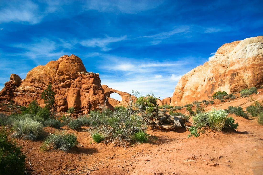 JustaPack's tweet photo. Utah is a very scenic state and some of the best ways to view its beauty is by taking a road trip! Here are 10 road trips you DEF should take!

https://t.co/sc2fPG5sKb

#Travel #Utah #TravelAgain @visitutah https://t.co/wuhzk9bXPm