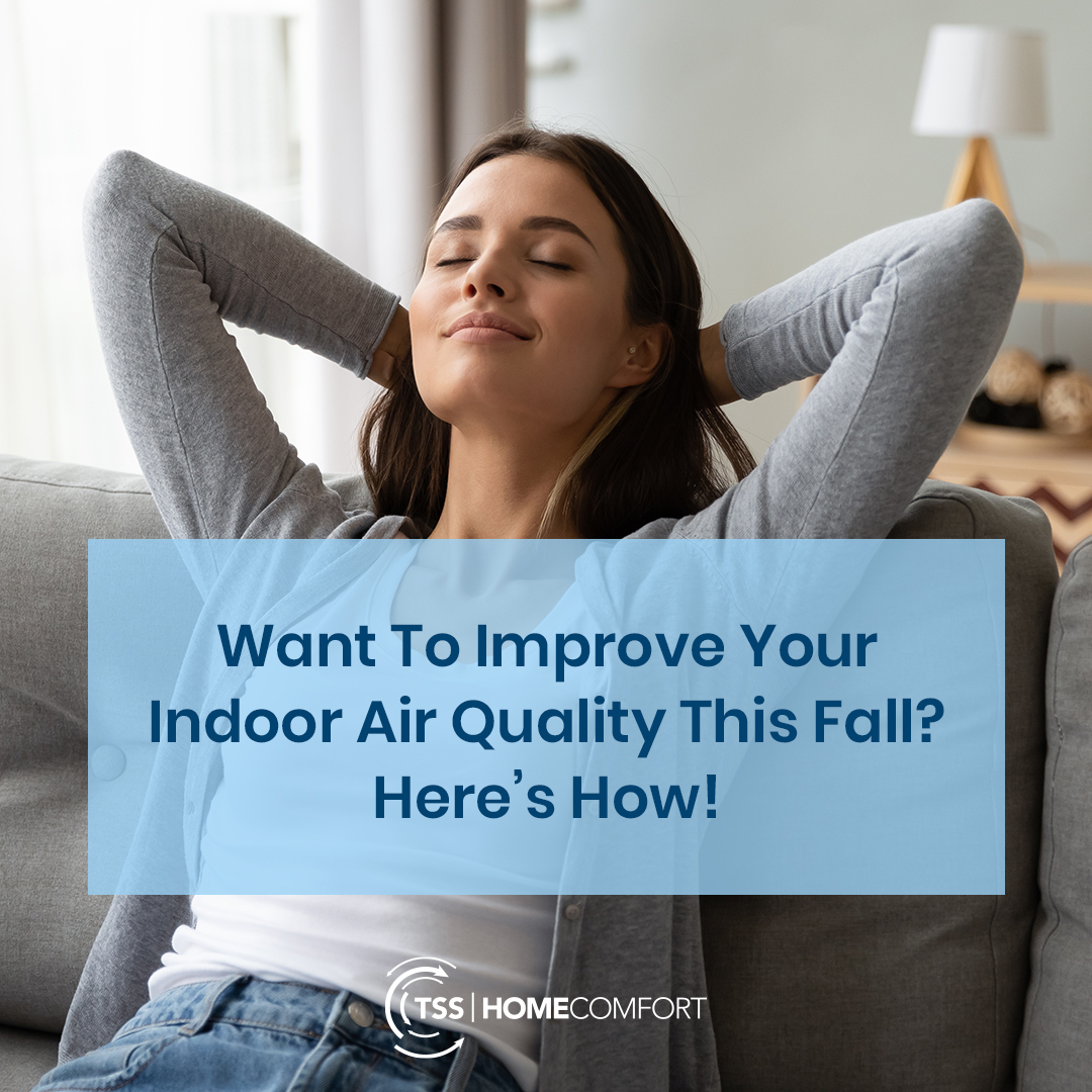 TSSHomeComfort's tweet photo. Here are some ways you can improve your indoor air quality this fall!

- Eliminate mold and keep humidity levels between 30-50%
- Invest in an air purifier 
- Change your air filters and schedule a duct cleaning
- Wash carpets and clean floors regularly 

☎️: (208) 908-4330 https://t.co/UuX2SMcO1e