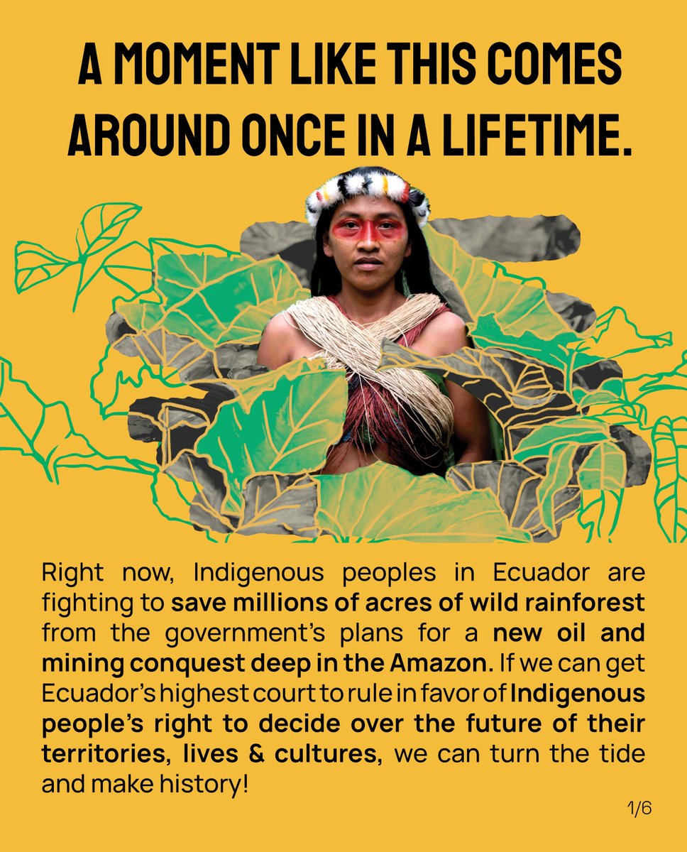 AFrontlines's tweet image. Indigenous territories in Ecuador’s Amazon are under assault!
 
Ecuador's President @LassoGuillermo is planning a new oil &amp;amp; mining conquest with decrees 95+151
 
SIGN &amp;amp; SHARE Indigenous pple’s letter @CorteConstEcu to demand respect for #IndigenousRights👉bit.ly/WhoShouldDecide