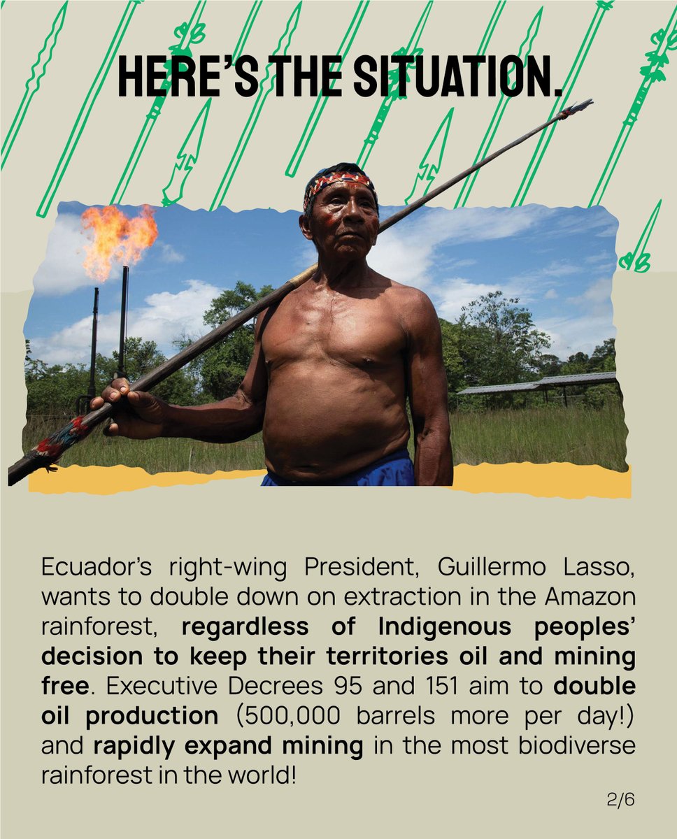 AFrontlines's tweet image. Indigenous territories in Ecuador’s Amazon are under assault!
 
Ecuador's President @LassoGuillermo is planning a new oil &amp;amp; mining conquest with decrees 95+151
 
SIGN &amp;amp; SHARE Indigenous pple’s letter @CorteConstEcu to demand respect for #IndigenousRights👉bit.ly/WhoShouldDecide