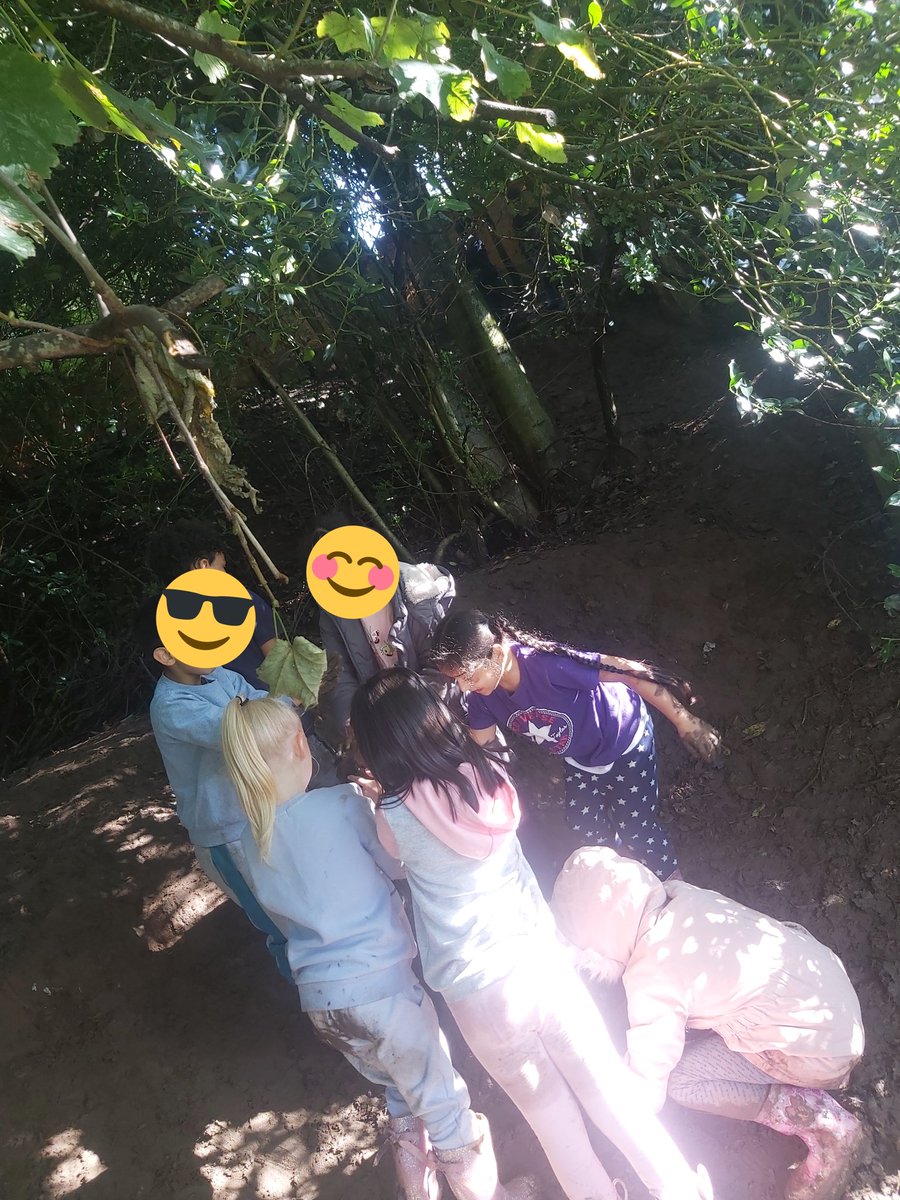 Forestschoolmvps tweet media