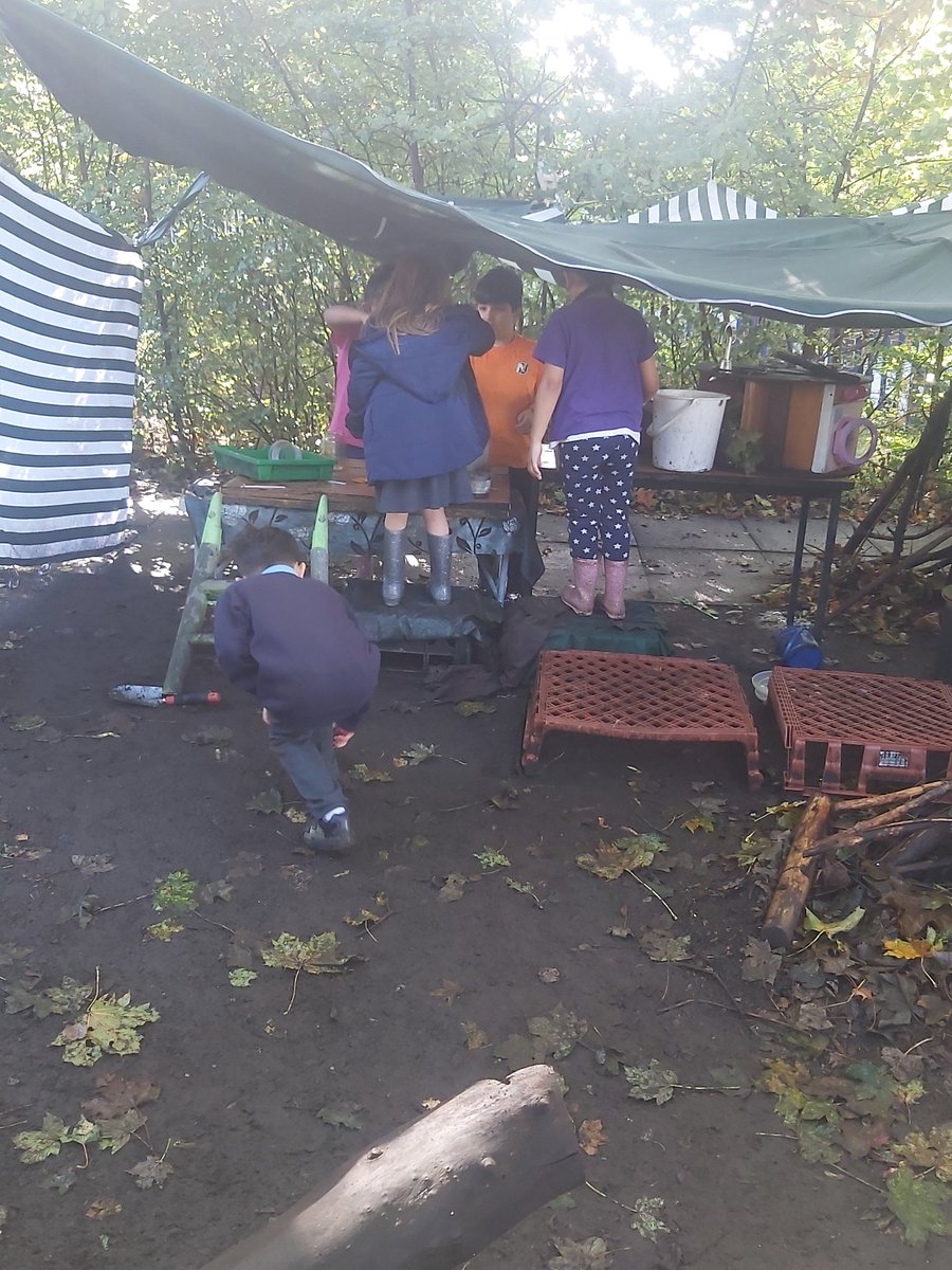 Forestschoolmvps tweet media