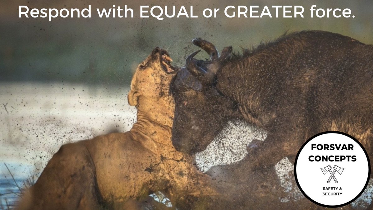 ForsvarIntl's tweet image. Don't be the #softtarget Learn to use your natural abilities to #chincheck predators when they attack. #defense #safety #Security #coaching