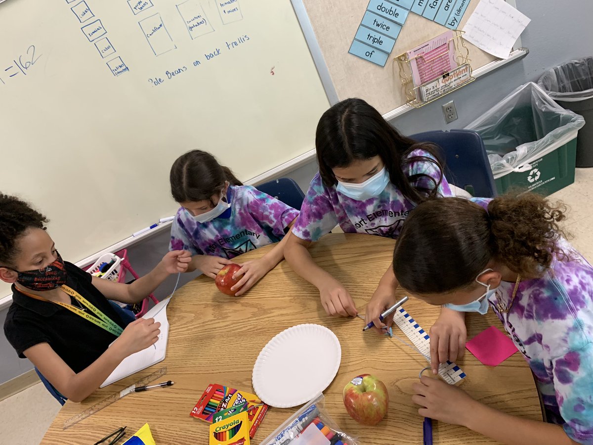 GardenMort's tweet photo. Fall season is all about #apples. #GardenGnomies @MortElementary compare/contrasted  4 varieties and measured the circumference. 🍎 🍏  #honeycrisp and #rave varieties tied for fav. #SchoolGarden @MrMaestroMoreno @psprincess18 @HCPSElemMath1 @HCPSElemScience @TransformHCPS @hcps https://t.co/ffDOM64SES