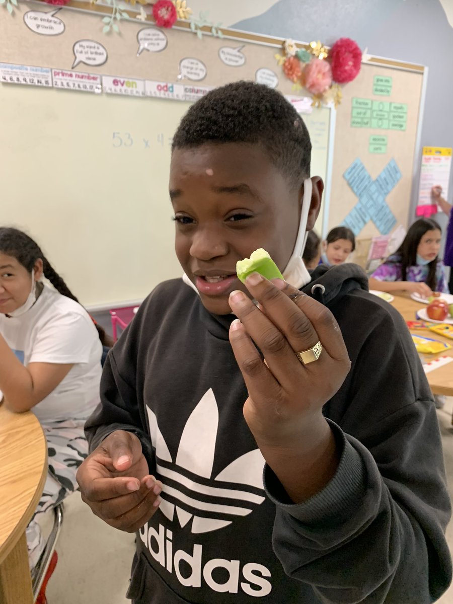 Fall season is all about #apples. #GardenGnomies @MortElementary compare/contrasted  4 varieties and measured the circumference. 🍎 🍏  #honeycrisp and #rave varieties tied for fav. #SchoolGarden <a href="/MrMaestroMoreno/">Armando Moreno</a> <a href="/psprincess18/">Jennifer Chamoun</a> <a href="/HCPSElemMath1/">HCPS Elementary Math</a> <a href="/HCPSElemScience/">HCPSElemScience</a> <a href="/TransformHCPS/">HCPS Transformation Network</a> <a href="/hcps/">heather pedersen</a>