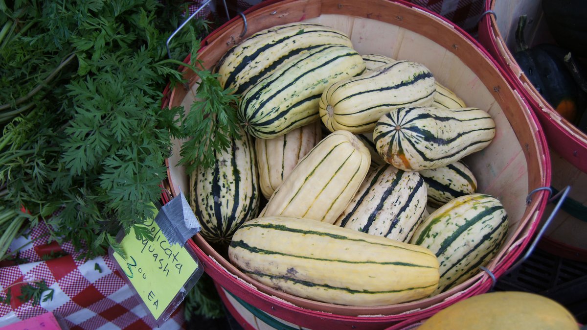 October hours begin this Saturday - 9am to 1pm! Sleep in an hour and enjoy the crisp fall morning before stocking up on the bumper crop of delicata squash!