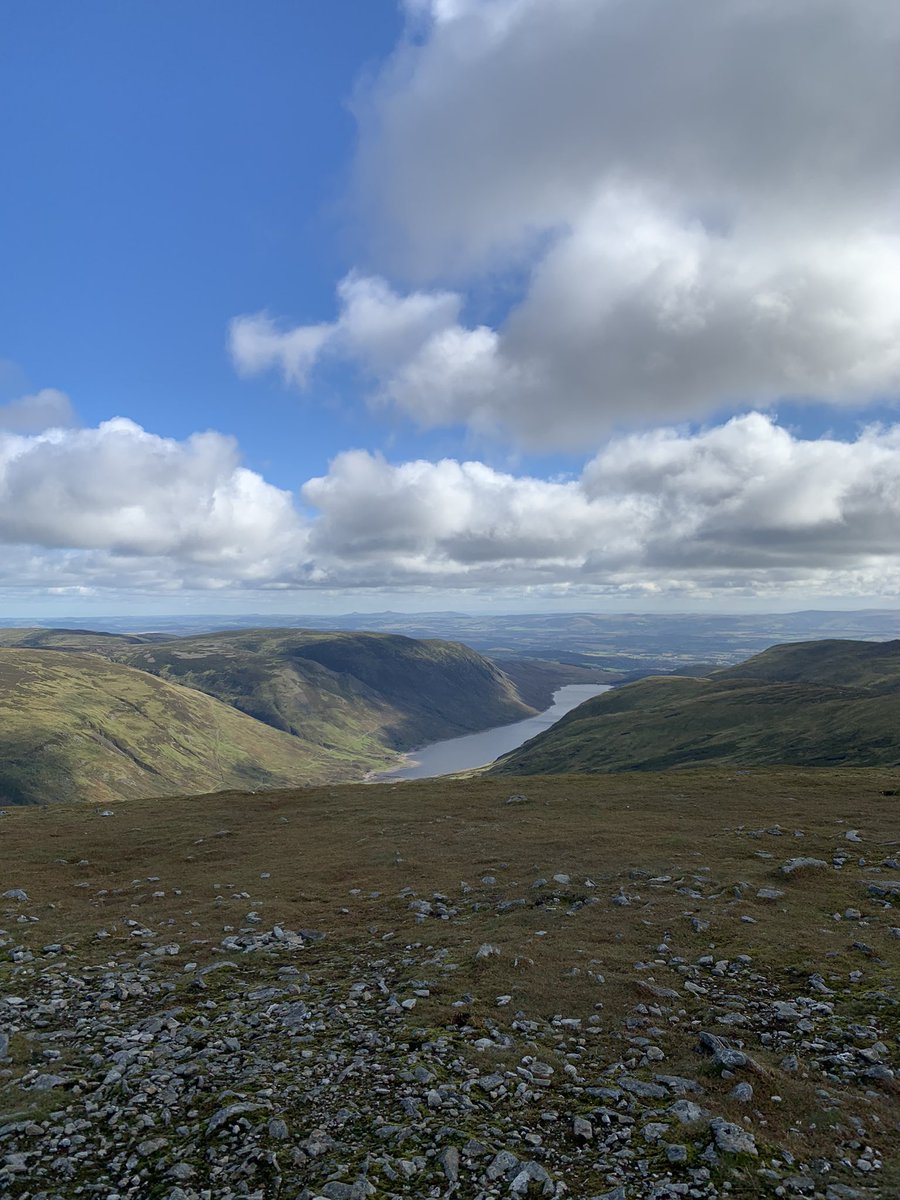 wallacebooth's tweet photo. Someone did their first munro and was a superstar π good afternoon saunter with Norrie #hike #munro #dog #dogsofinstagram #buddy #slioch #firstmunro #benchonzie #nicetobeout #adventure #chorkie #friends #pals https://t.co/SMeanlxTvv