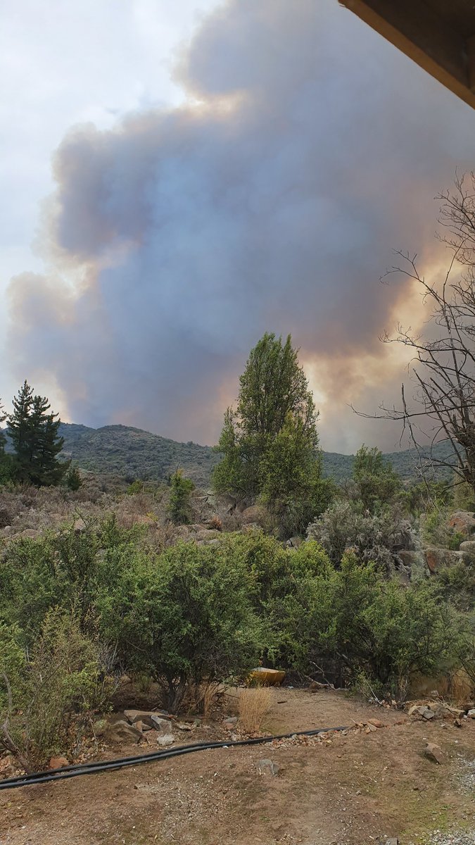 alegriagonzaa's tweet photo. 17:22 | 🚨🔥🚒#Tiltil Sale Z1 CB #LaGranja en apoyo a Z8 #Metrosur  B11 @BomberosNunoa y CB Titil por 4ta ALARMA DE INCENDIO FORESTAL en Capilla de Caleu. 

🔴#SinEnergia Rungue, Montenegro, La Cumbre y todo el sector de #Caleu. 

@reddeemergencia @Carlos_tmk https://t.co/j9h4dE4aFK