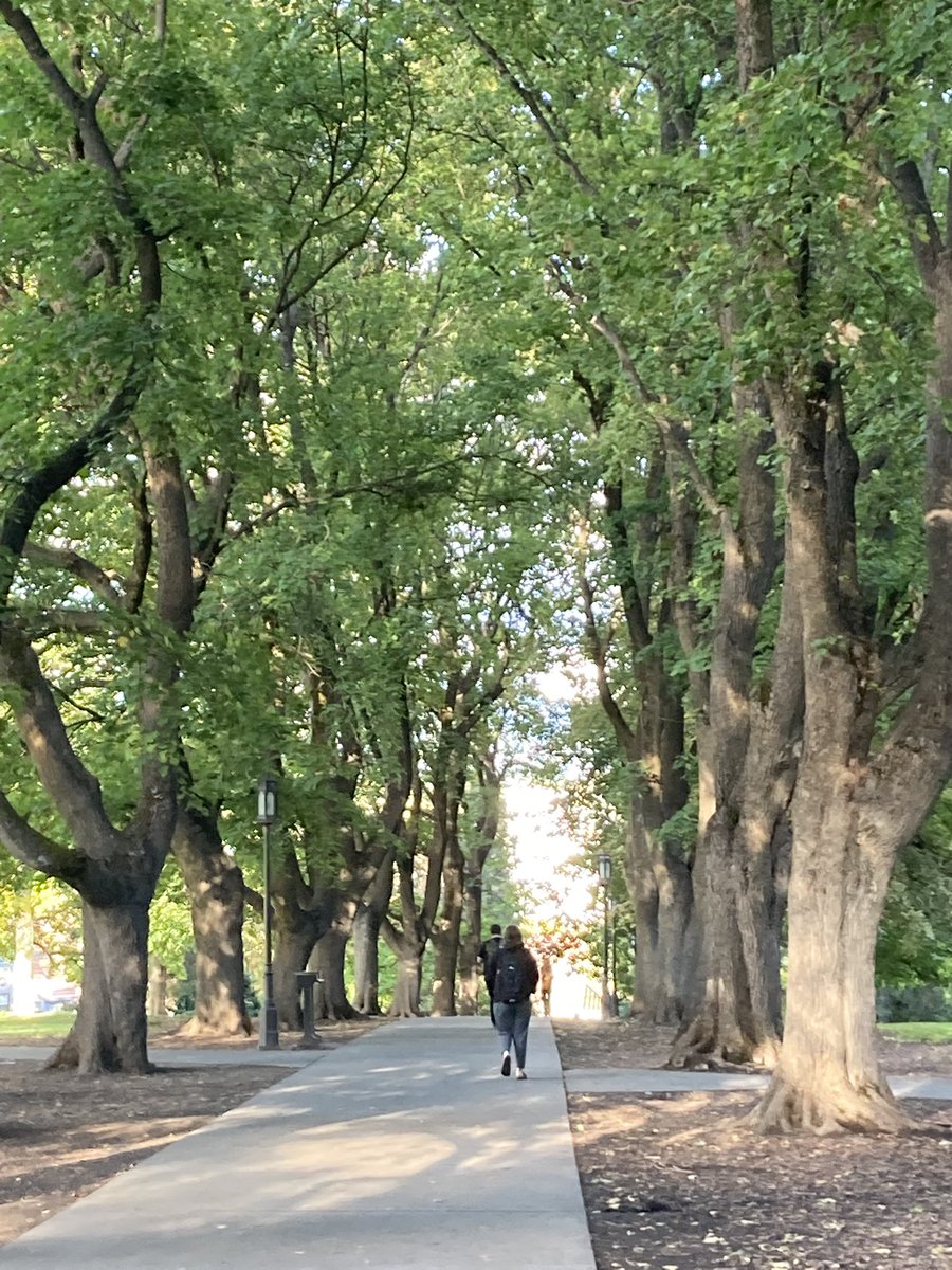 Don Shelton tweet media