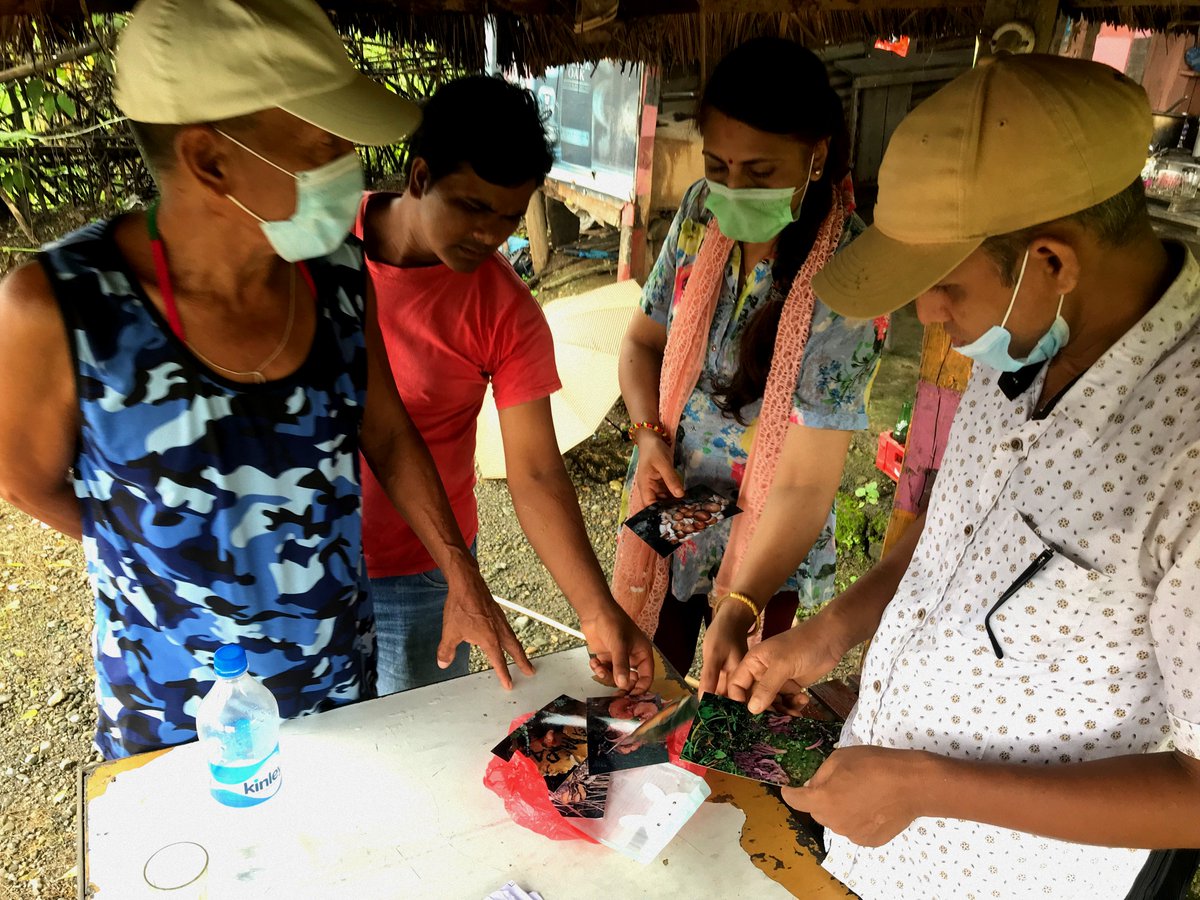HCSI_Nepal's tweet photo. While in the Chepang community, Shiva was able to educate the other community members on how to safely differentiate between visibly similar mushrooms. https://t.co/SnCN0FTUET