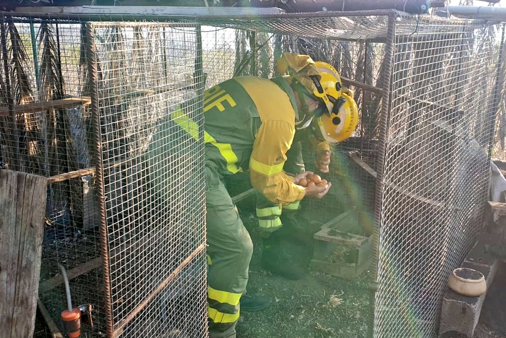 AT_Brif's tweet photo. 🔴PARTE DE INTERVENCIÓN 29/09/21➡️1 #BRIF de @mitecogob ha intervenido en una erupción volcánica

🌋#ErupciónLaPalma
👨‍🚒@BrifPuntagorda

9️⃣ºdia a vuestro lado, al lado de tod@s l@s palmeros colaborando como podemos y como nos deja el #VolcanLaPalma
SEGUIMOS!
#MasFuertesQueElVolcan https://t.co/Pl3X2AlGMD