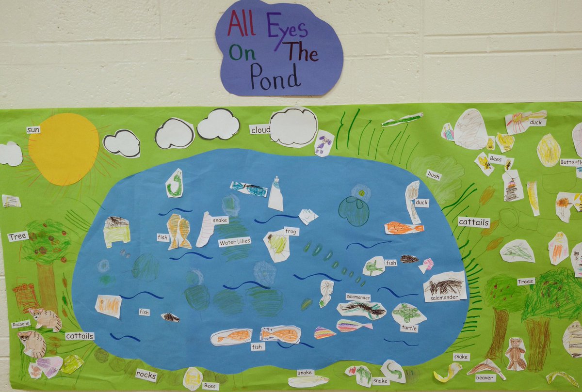 awatson0723's tweet photo. We read Pond Life by Carol Linden. We made our own pond and practiced labeling. @western161 @flossmoorsd161 https://t.co/eRxBdHZfEW
