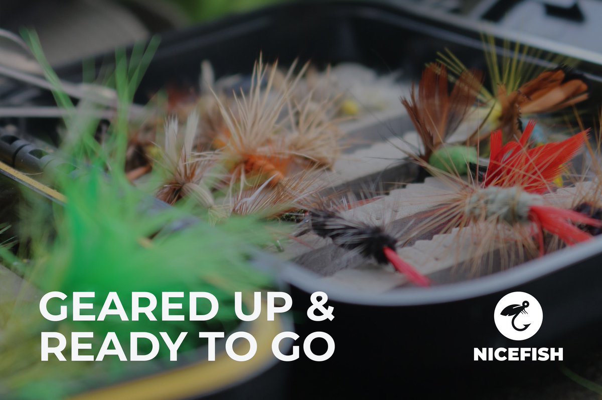 nicefishapp tweet picture