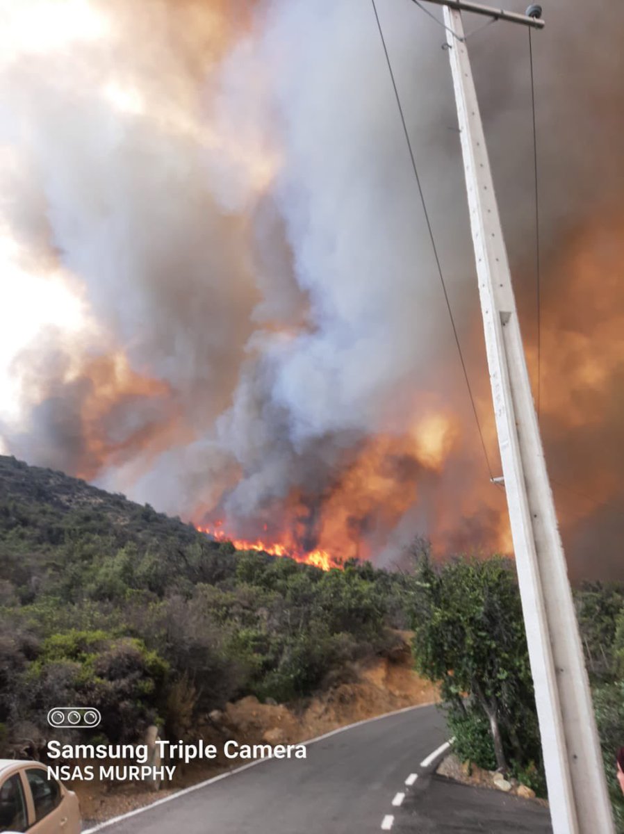 cramirezc's tweet photo. @bayron_lopez01 @reddeemergencia @djgraff_German @Pabl0Manzanares @chile_accidente @Bomba_Decima @GrupoWurtlitzer @Bomberos_Tiltil @BomberosdeChile @Bomberos_MetSur @BomberosNunoa @CBLaGranja1950 @cbsantiago @CBConchali_1948 @ClaudioSeguelR @1ra_CBTT @karen_osorio_sa @RNESANTIAGO @AlvaroMolinaCL @Emergencias365 @FJFPCL @lNFOSCHILE @fdo2000 @Geosorno01 @Octavacbn #Portezuelo #Caleu #TilTil

@Bomberos_Tiltil declara #incendioforestal en Capilla de Caleu

@BomberosdeChile apoya con
Z0 y H5 @cbsanbernardo 
Z8 @Bomberos_MetSur
B11 @BomberosNunoa
Z1 @CBLaGranja1950
y Z4 @CBConchali_1948

Fotos @ClaudioSeguelR @alegriagonzaa y @karen_osorio_sa https://t.co/rTVjgljqxE