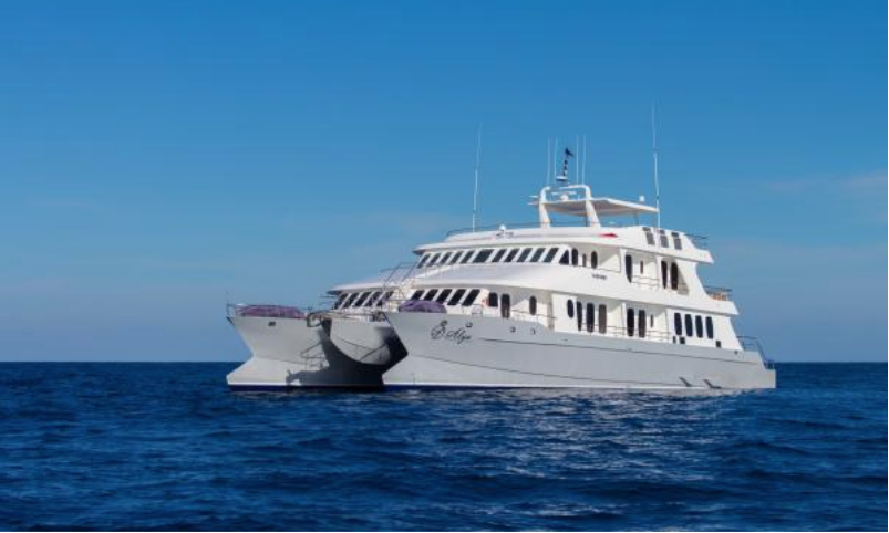 packafork's tweet photo. Join us in Quito &amp; The Galapagos Islands, January 27-February 3, 2022.  Fully guided, small group tour. Quito + The Eastern Galapagos Islands on a 16-passenger luxury catamaran with an onboard naturalist. Local  &amp; international cuisine, water sports. 303-593-1680 https://t.co/w3H504gecB