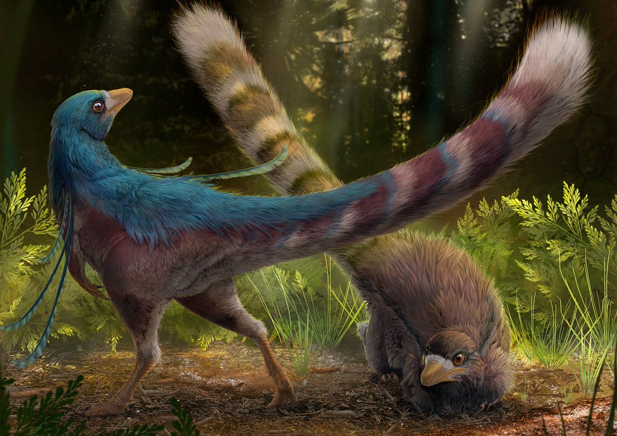 Dani Navarro Paleoart tweet media