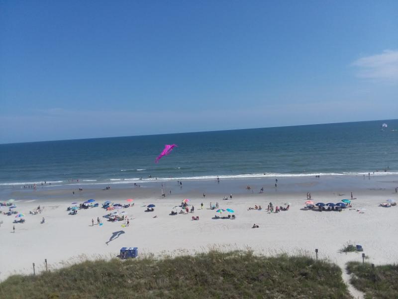 Beckylou1962's tweet photo. My friend, Fred is a finalist in Elliott Beach Rentals's photo contest. Help rally votes: https://t.co/sZIx8yW9yZ @ElliottRealty https://t.co/hKB9cQIVh6