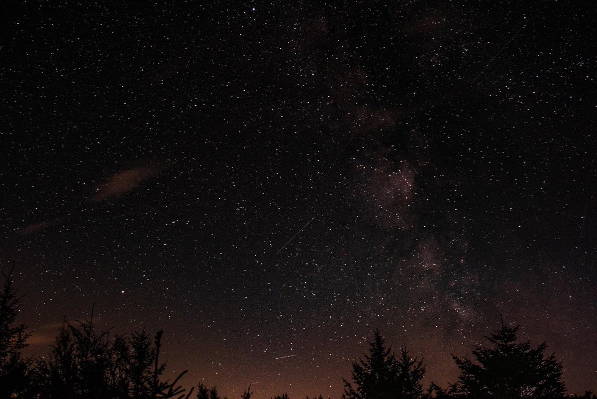 We are so tiny

 #kielder