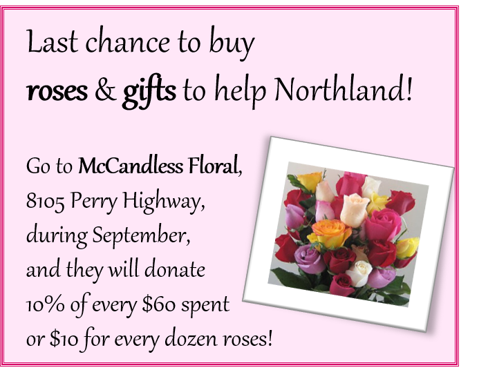 NPL_Foundation's tweet photo. Did you get flowers yet from McCandless Floral? Mention Northland during Love Your Library month &amp; they'll donate $10 to the Library for every dozen roses purchased or 10% for purchases over $60.  #loveyourlibrary #flowers #roses #bouquet #library @McCandlessFloral @northlandlib https://t.co/Th3vMZBXv1