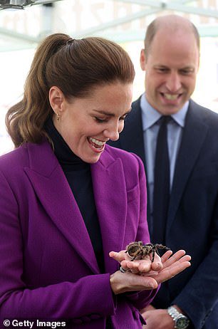 ciaraquill's tweet photo. Duchess #Kate is on a sartorial roll - 👍🏻 this royal purple outfit worn on a visit to Derry today. #purple #violet #lila #corcra 💜 #KateMiddleton #DuchessofCambridge https://t.co/KQexDsnsMy
