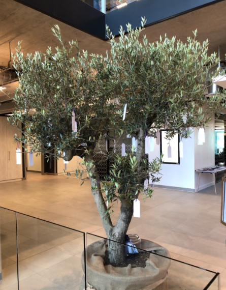 abcam's tweet photo. To celebrate #NationalInclusionWeek2021, across the globe we've come together to talk about #allyship. This event organized by our Employee Resource Groups encouraged colleagues to pledge their support in making Abcam an even more inclusive place to work. #pledgetree https://t.co/Gc8v47BL58