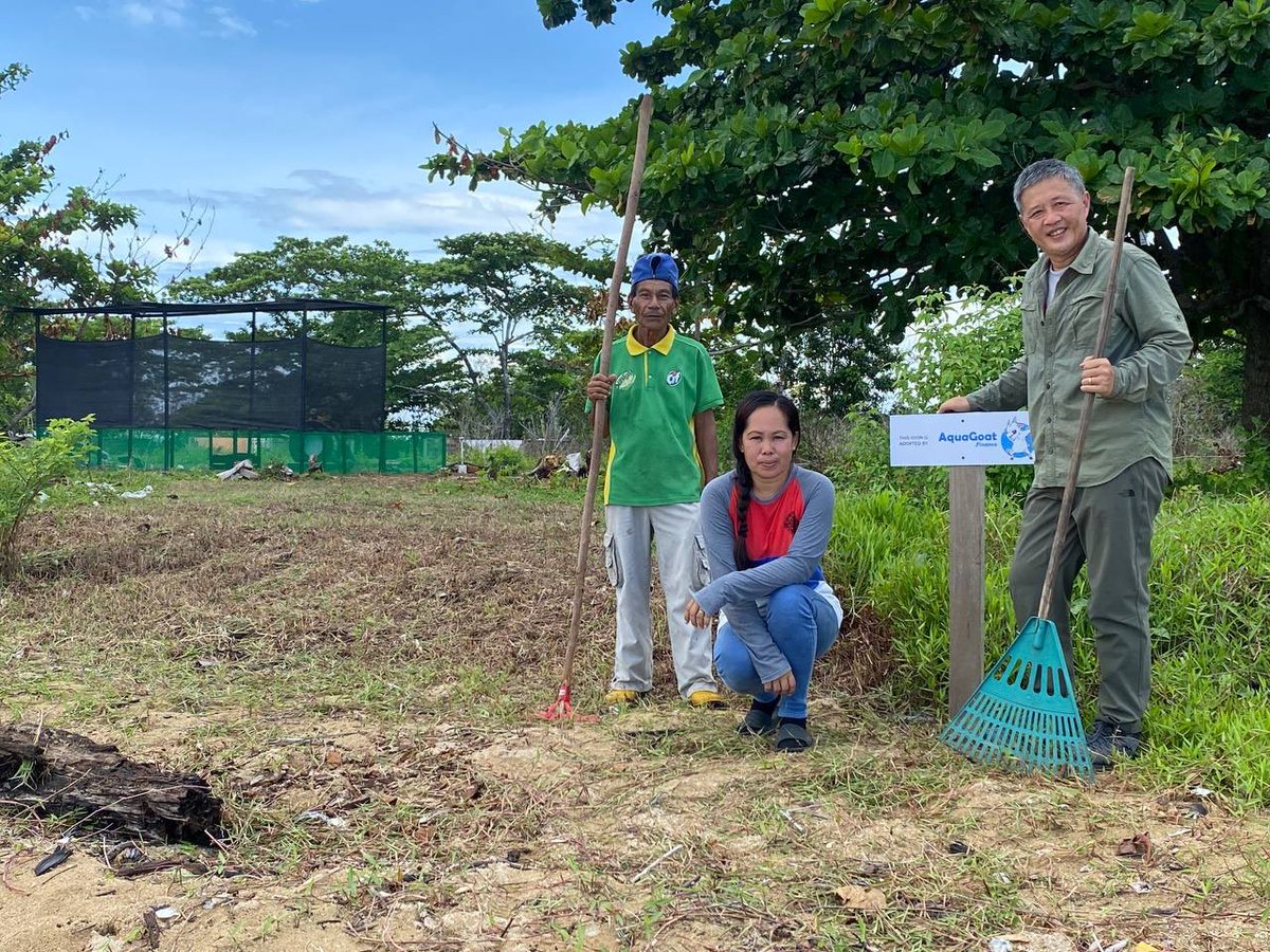 AquaBsc's tweet photo. Meanwhile on Libaran Island, FOSTER President @kt_yee Alexander Yee is continuing the construction of the #AquaGoat Turtle Hatchery! π’ππ #AquaGoatArmy #GOATSsavingBabyTurtles #AquaGoatV2 https://t.co/fMxVjPS79L