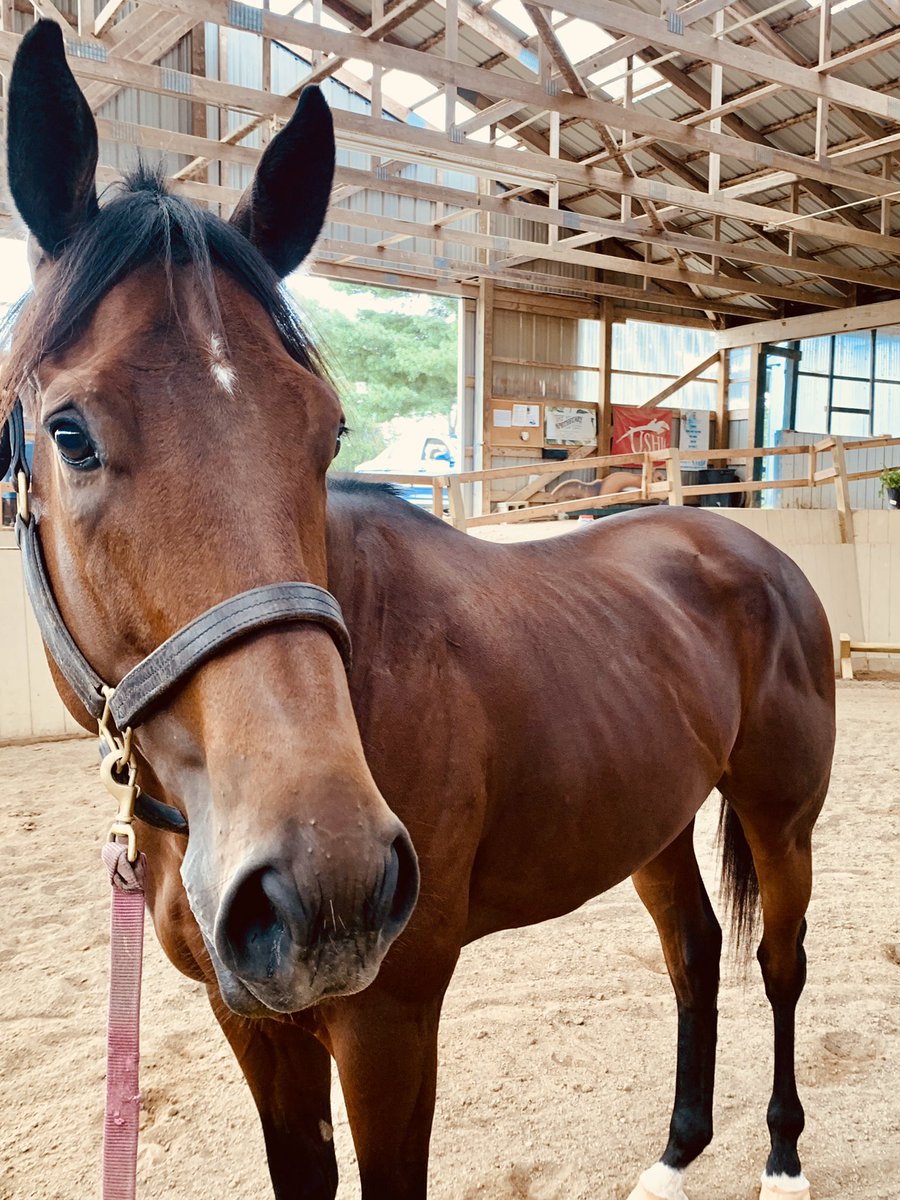 CANTER Kentucky tweet media