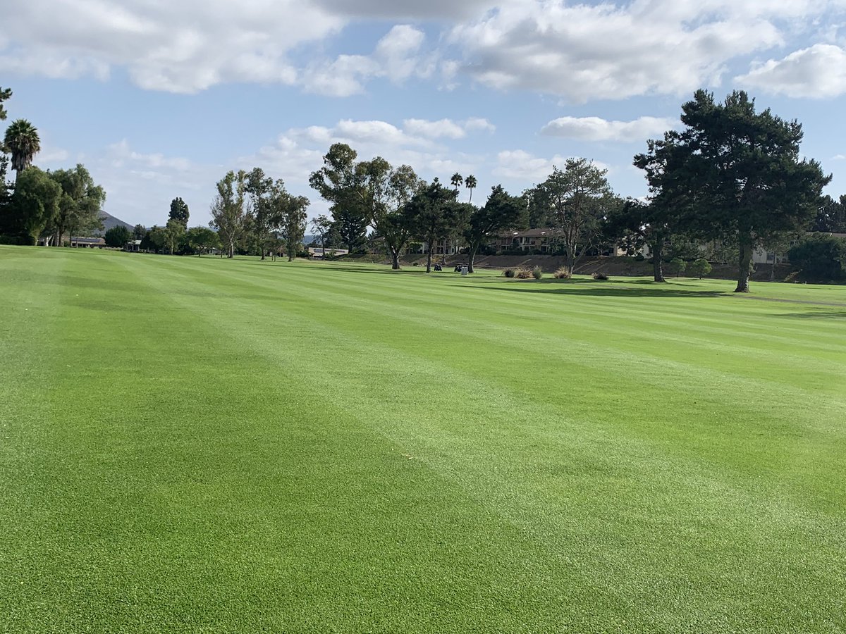 Enjoying my new view #officeviews #golf #stmarkgolfclub #socalgolf #golfsandiego