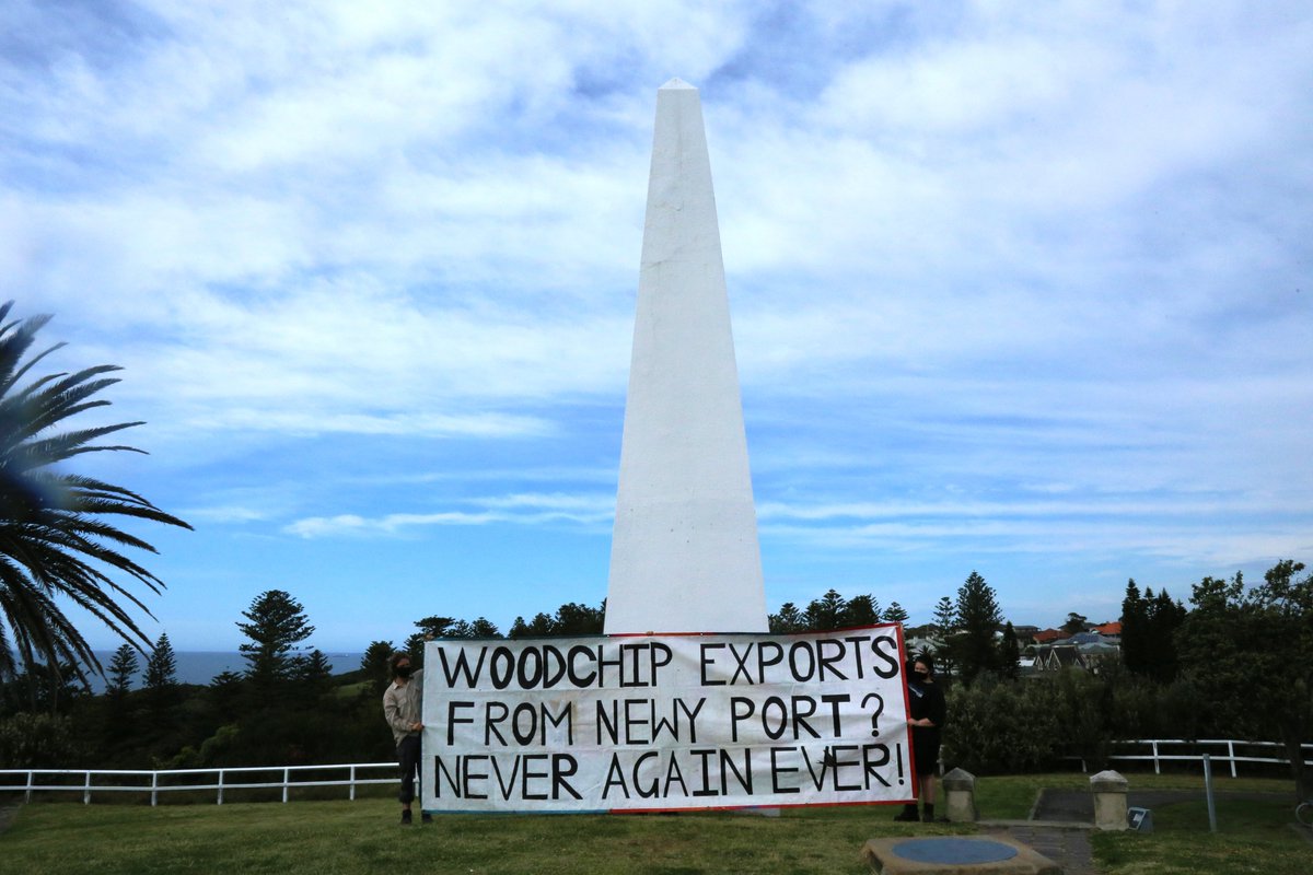 hunterenviro's tweet photo. In response to yesterdays investor forum sponsored by Sweetman Renewables, Novocastrians say "never again, ever!!" to wood-chipping or its export, along with @CityNewcastle who moved a unanimous motion against the recommencement of woodchip exports from @PortofNewcastle https://t.co/oW0SDEKBqN