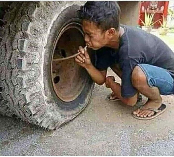 Saylovda yutib chiqmoqchi bo'lgan Alisher Qodir )