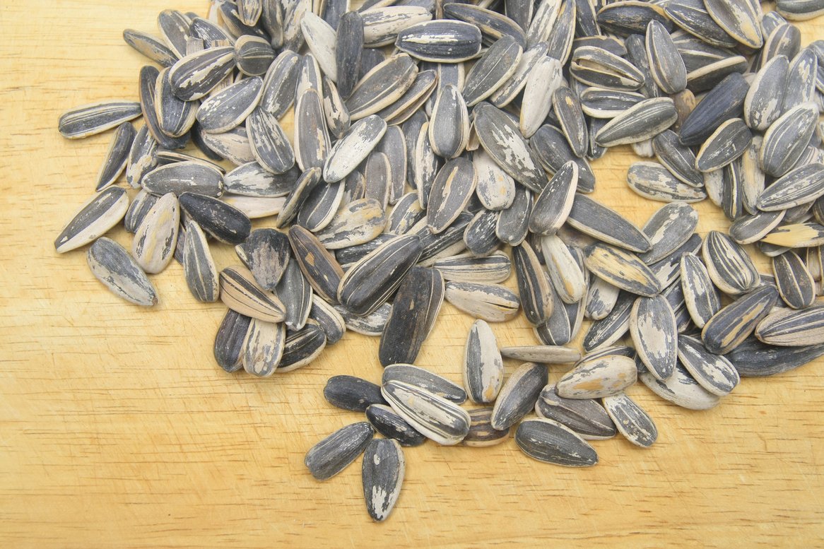 Have you heard of the Global Seed Vault in Svalbard? The vault contains over 800,000 varieties of seeds which can be used to regenerate a country’s seed supply or for research into developing new plant varieties. #NationalBiodiversityMonth
ow.ly/6GSB50GikAO