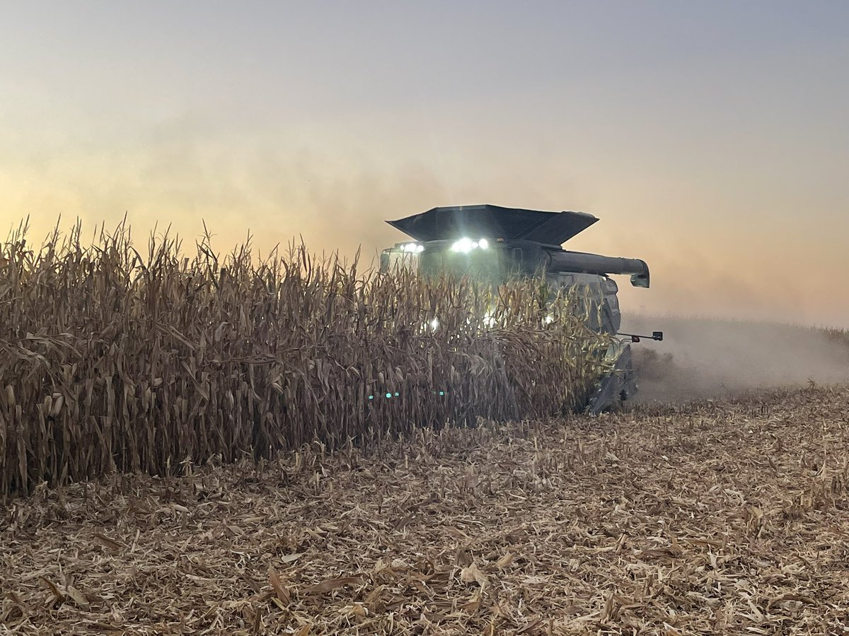 JWebsterAg's tweet photo. Harvest continues on for the @PrecisionPlant #PTIFarm team. We absolutely love this time of year!  #AlwaysLearningAtPTI https://t.co/gQPTD0oG1N