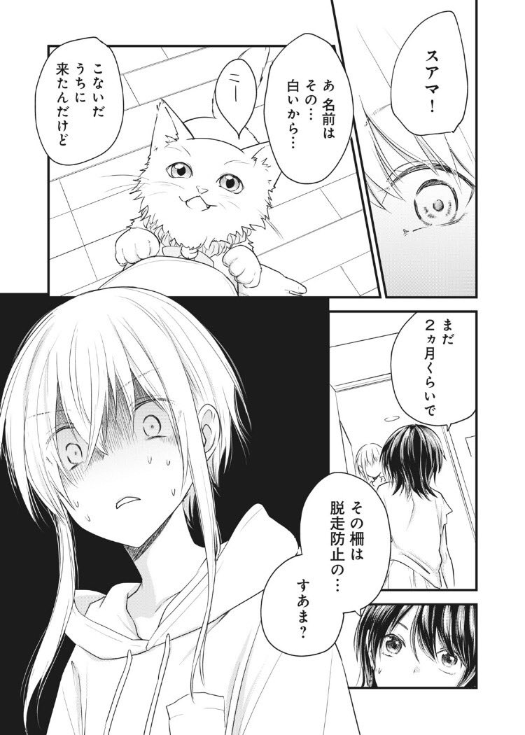 #猫ます 17話後半が更新されてました!
子猫〜!!!!!
https://t.co/Ntni1gcR2x 