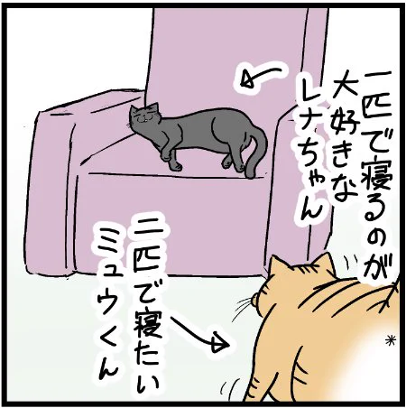 ミュウくんはレナちゃんと寝たいだけなのに!!笑  #にゃんこ #まんが #マンガ #4コマ漫画 #四コマ漫画 #猫 #ねこ部 #ねこ #猫あるある #猫漫画 #ペット #飼い主 #ねこらぶ #エッセイ漫画 #みんねこ #キャット #ねこのいる生活 #猫ばか #にゃんだふるらいふ 