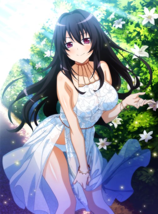 画像まとめ ハイスクールdxd 新着 6ページ目 アニメレーダー