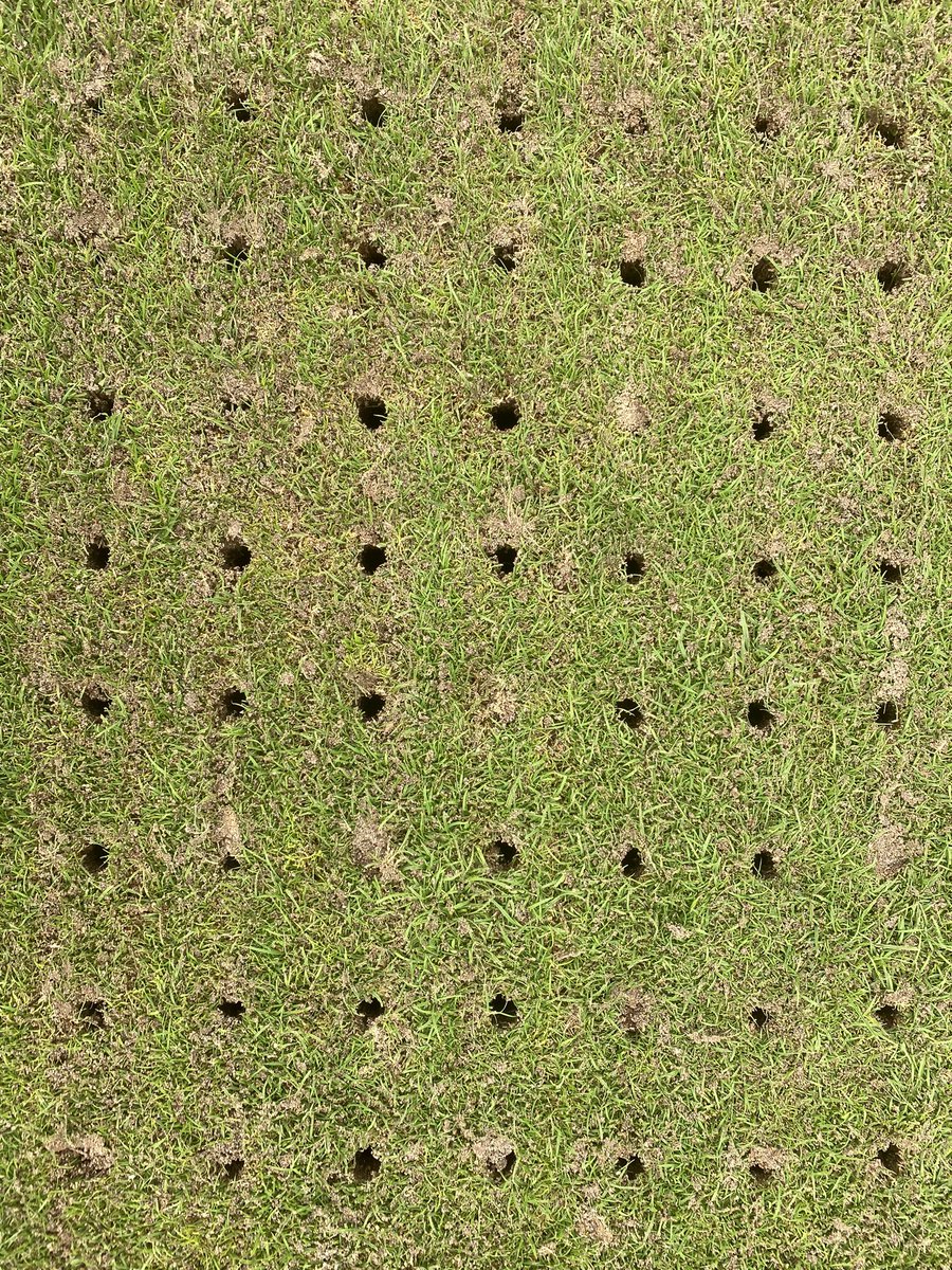 Great result on Greens Renovations. Scarified and then hollow-cored greens, followed up with a straight sand dressing and seed application, swept and drag matted to fill the holes and lines. Thank you <a href="/ianajordan/">Jordans</a> for doing the work. #golf